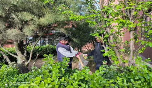 齐心协力净校园 文明于心践于行——亚洲博彩网站信息工程系组织全体学生开展卫生区大扫除活动